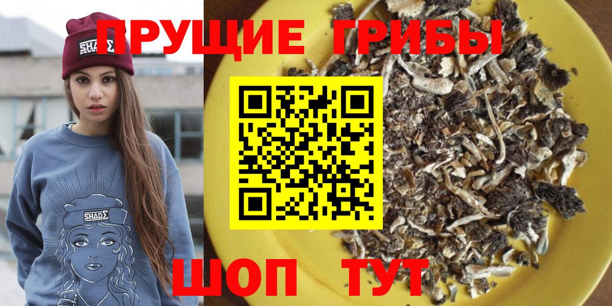 Псилоцибиновые грибы мицелий  Вход с VPN  Дмитров  Псилоцибиновые грибы GOLDEN TEACHER 